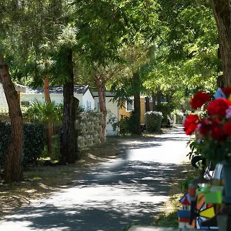 4 Etoiles Les Fougeres Rivedoux-Plage