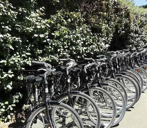 Campsite 4 Etoiles Les Fougeres Rivedoux-Plage